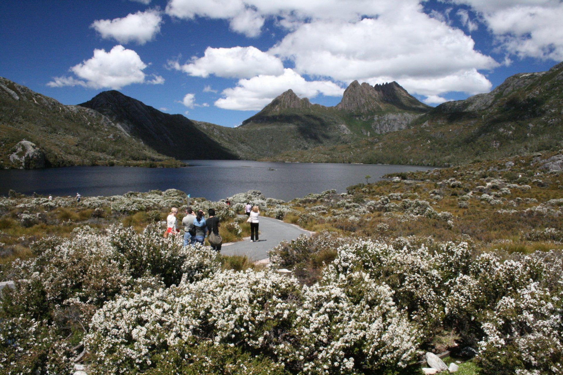 Cradle Mountain's peaks rising above Dove Lake on a clear day