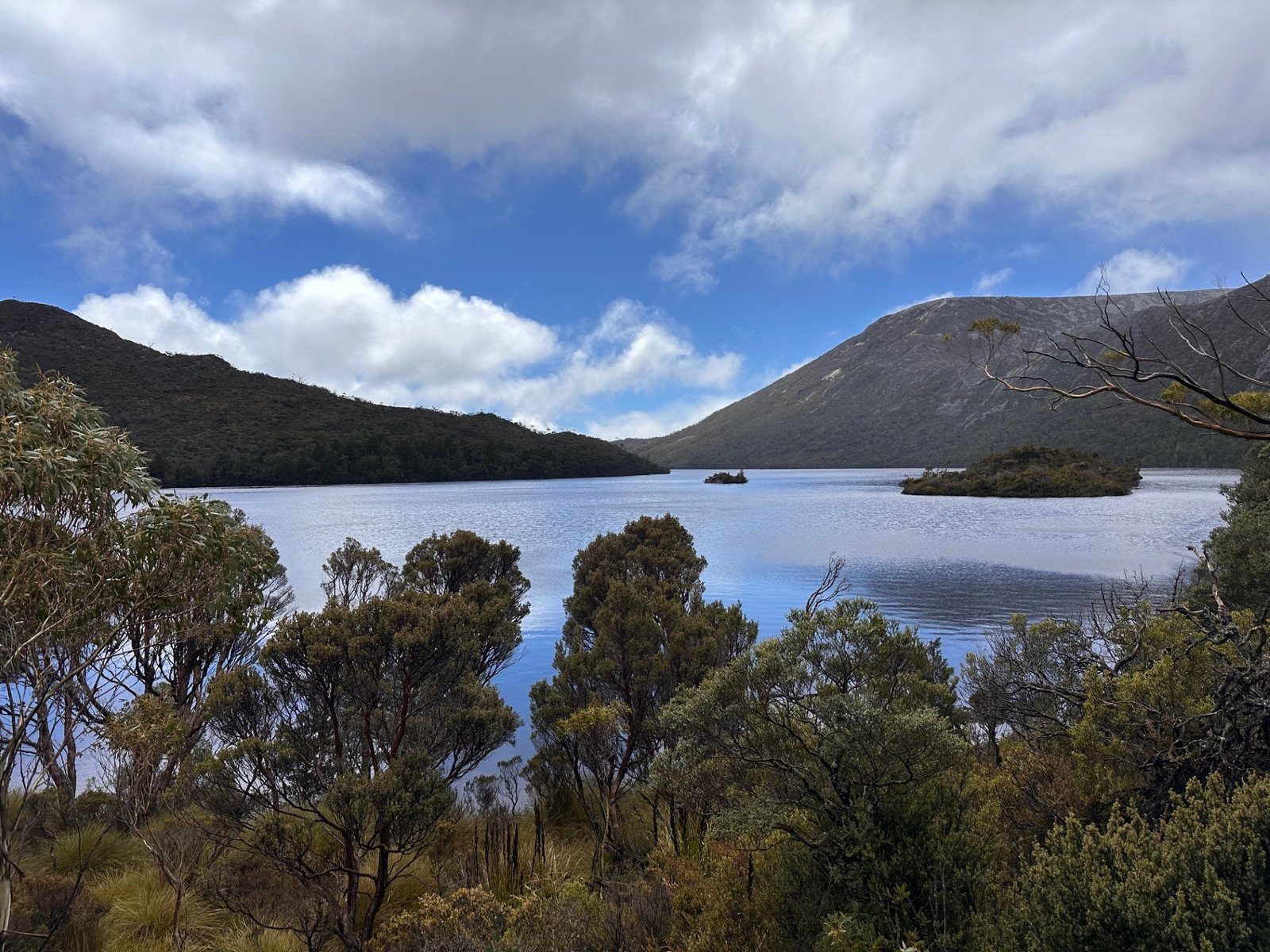 The shoreline of Dove Lake below the mountain